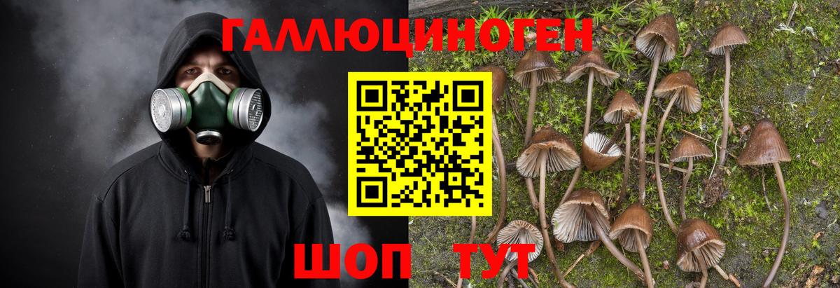 Псилоцибиновые грибы мухоморы  Вход с VPN  Псилоцибиновые грибы мицелий  Балаково 