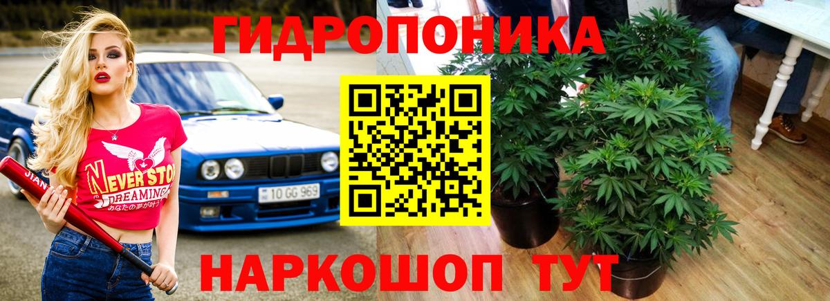 Бошки Шишки тримм Балаково
